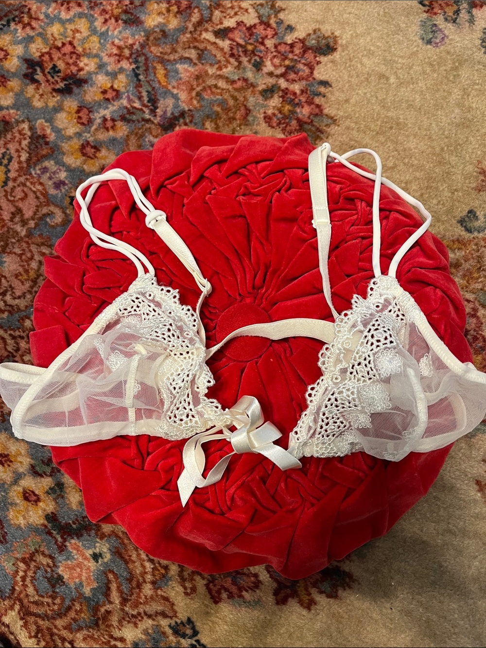 Sheer white tie front sexy bra